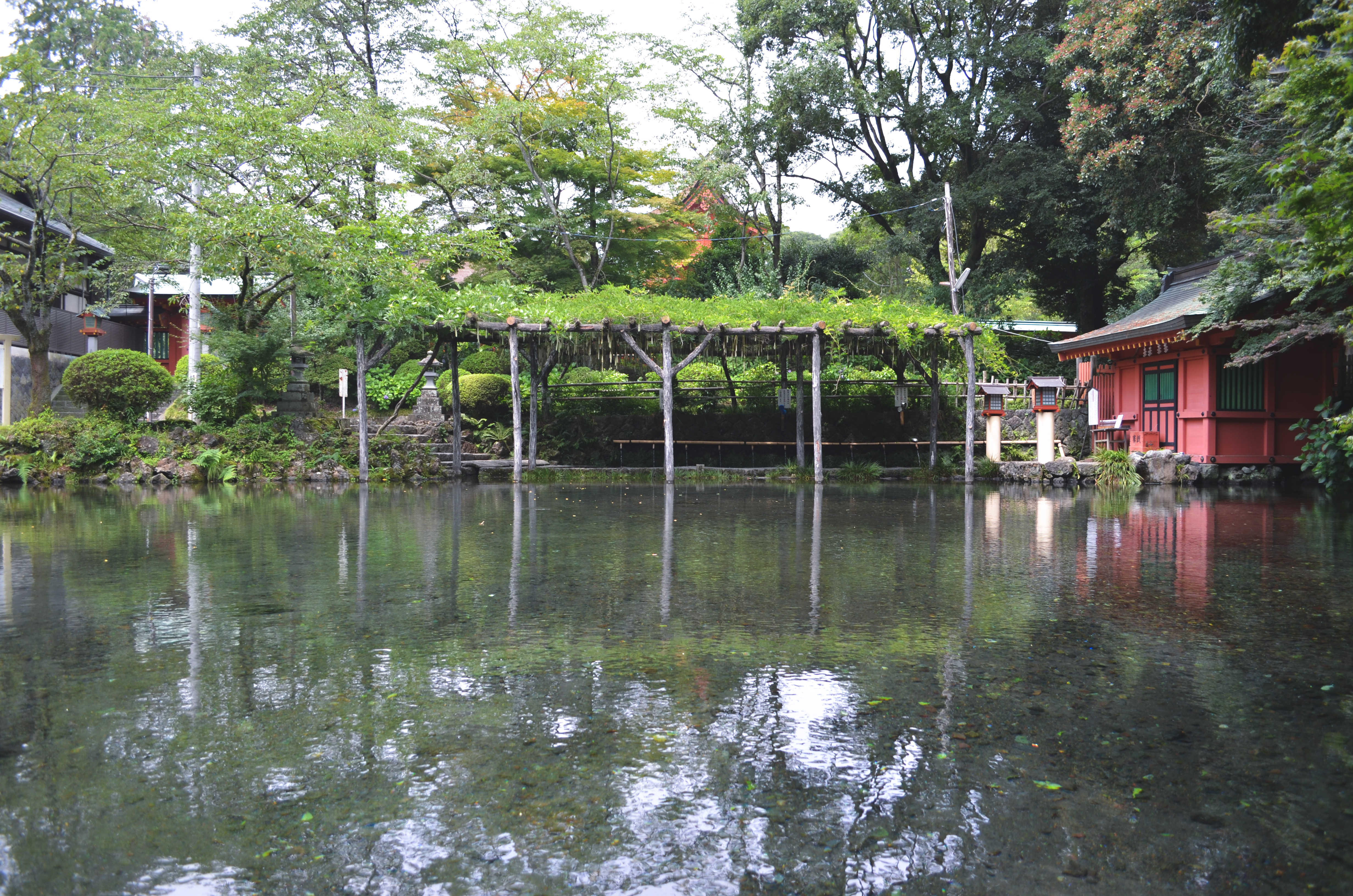 富士山本宮浅間大社の水辺