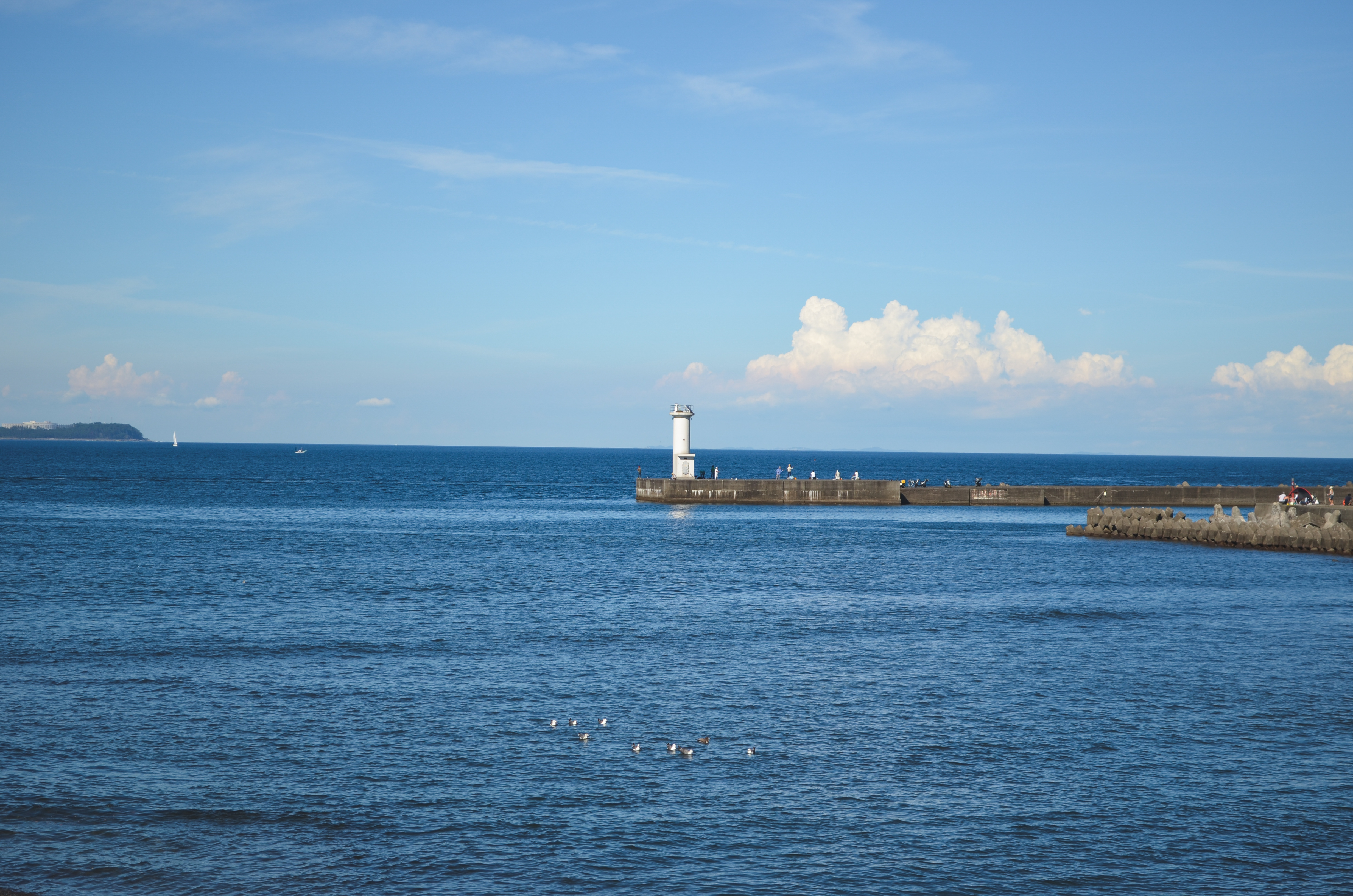 伊東の海