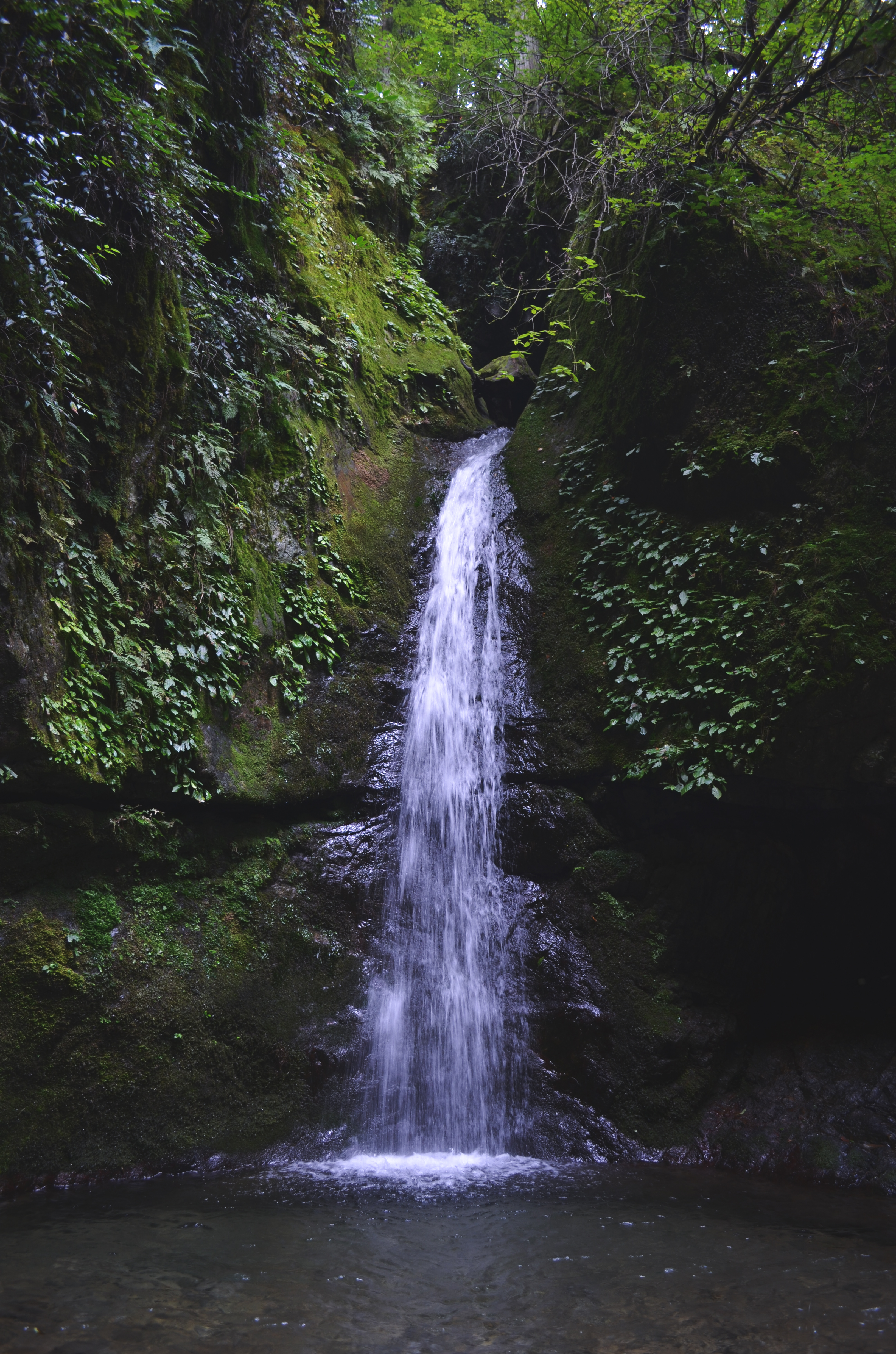 御岳山の滝