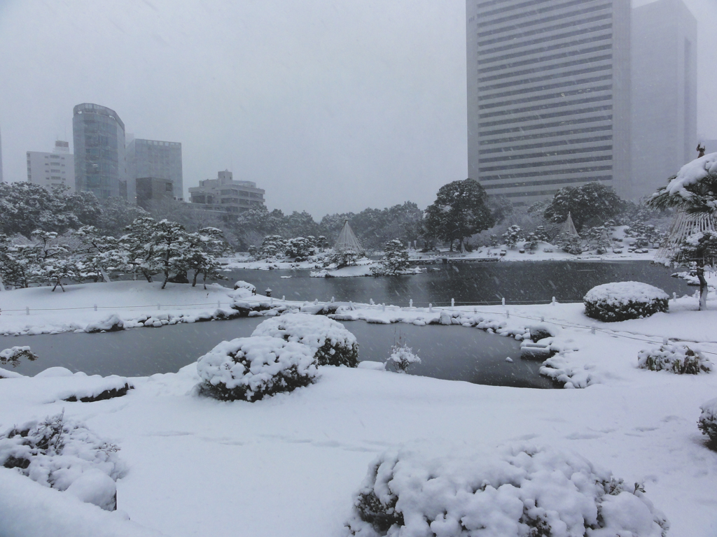 芝離宮の雪