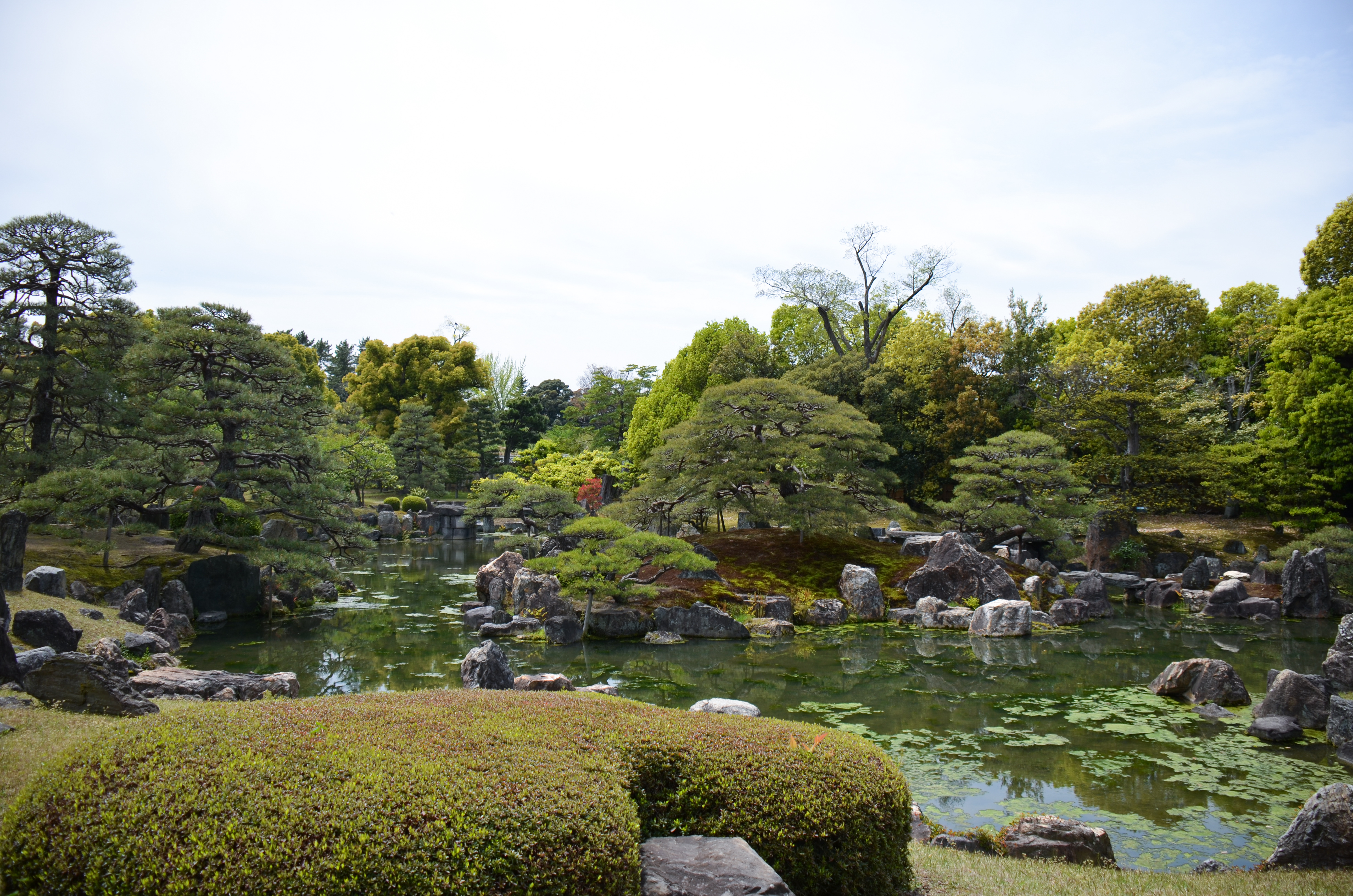 庭園