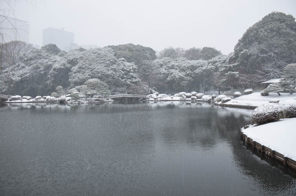 雪の風景-新宿御苑-