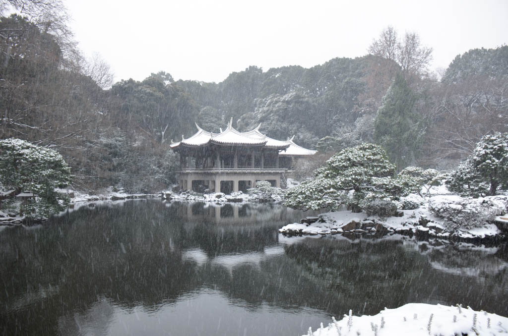 雪の風景-新宿御苑-