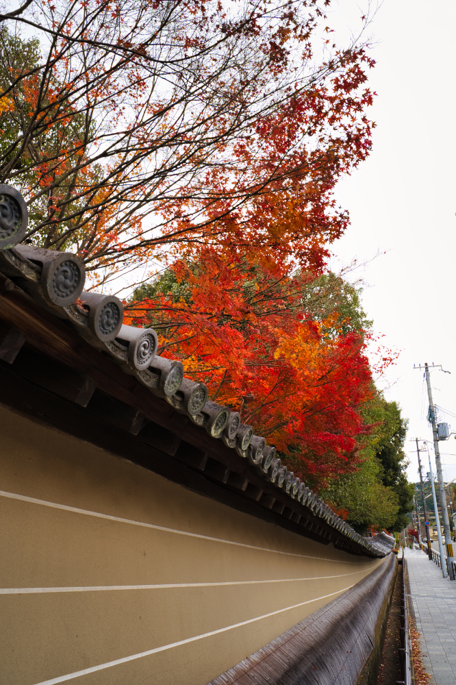 京都の道