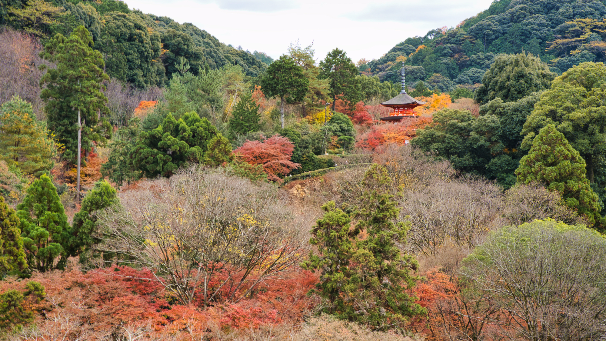 清水の舞台からの紅葉