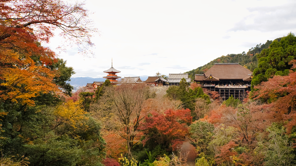 清水寺と紅葉