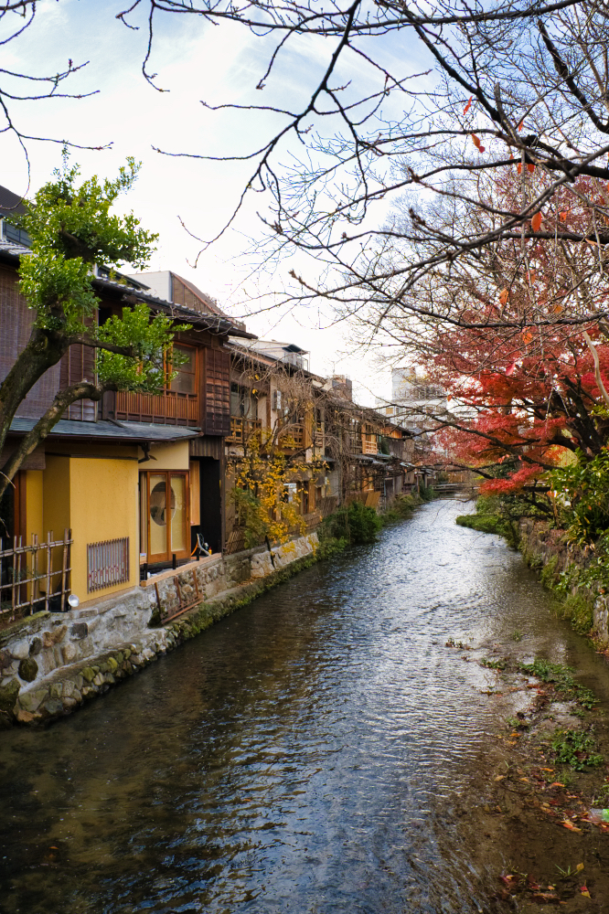 京都の小川