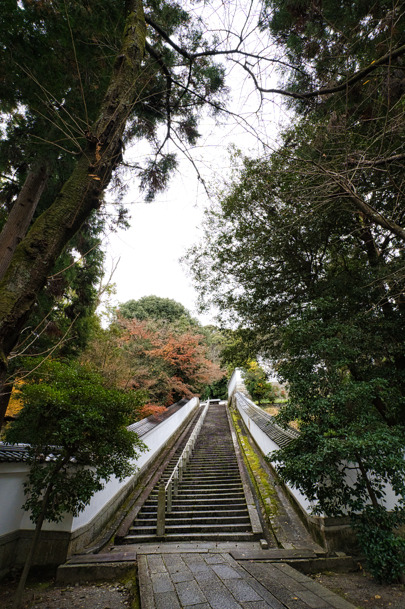 お寺の階段