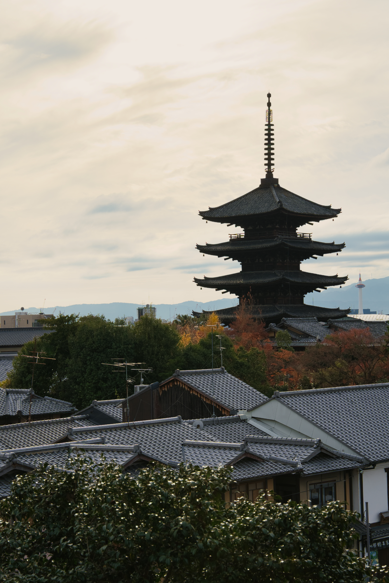 法観寺の五重塔